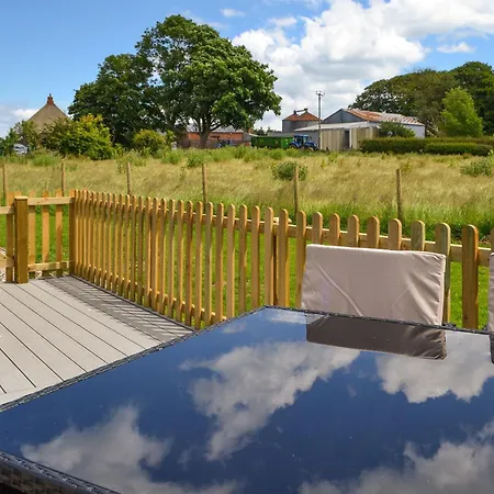 Hawthorn - Uk47620 Hunmanby